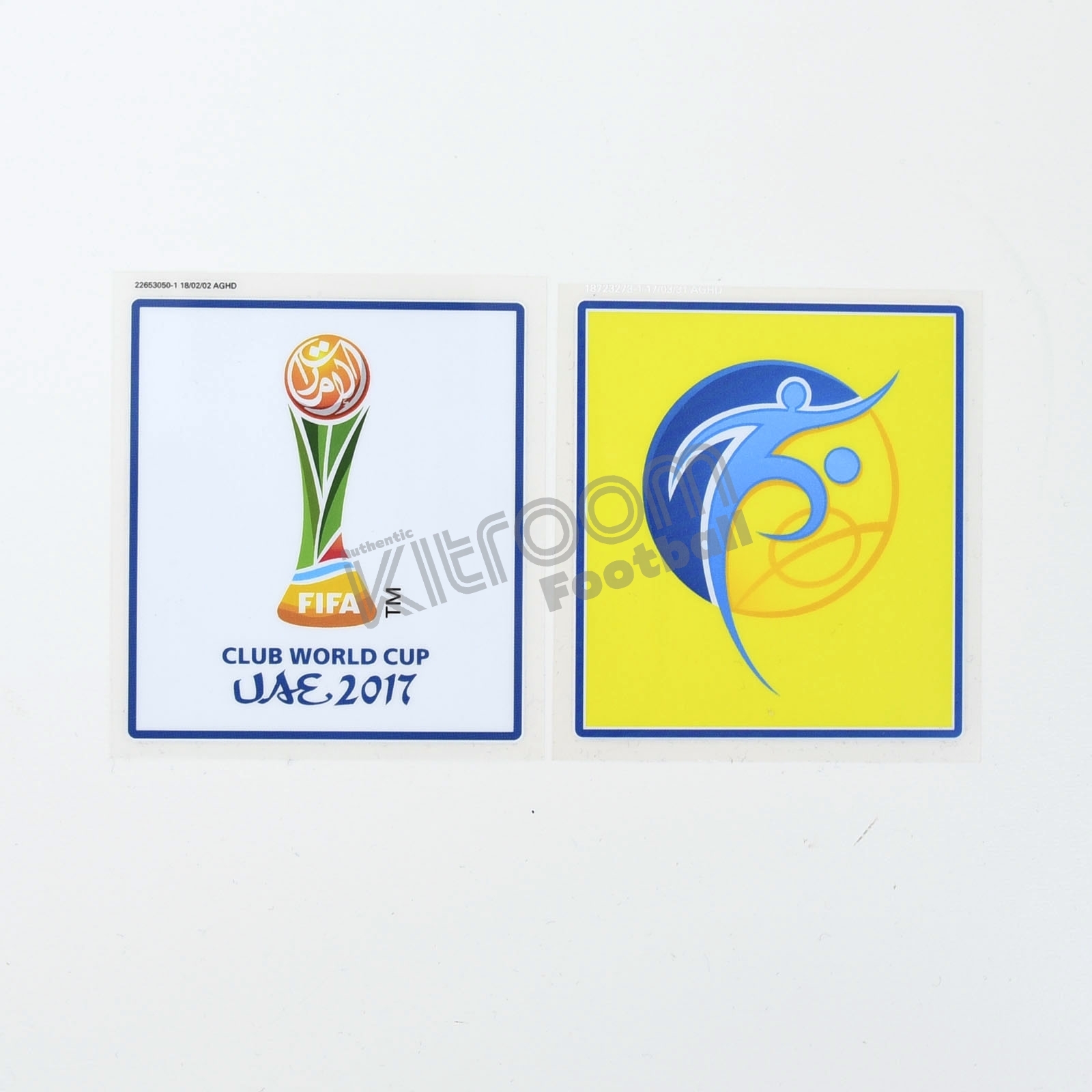PARFIFACWC2017PI (1)