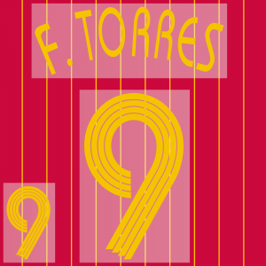 Spain World Cup 2006 Home Name Set Repro - #9 F. TORRES - Image 1