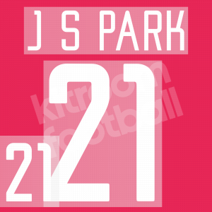 World Cup 2002 South Korea Name Set Number #21 J S PARK Home Repro