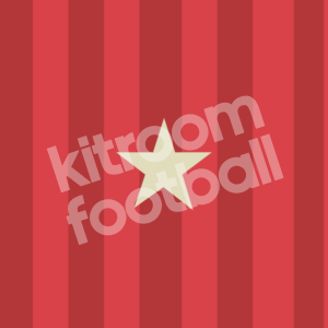 Winners Star Patch for Spain 2014 Shirt Repro Parche Estrella