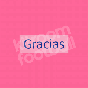 2019-20 Real Madrid GRACIAS MDT Pach Champions League Repro