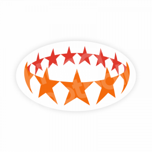 2009-12 UEFA Womens Champions League Patch Repro