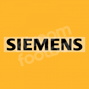 2005-06 Real Madrid Siemens Sponsor Patch Black Liga Version