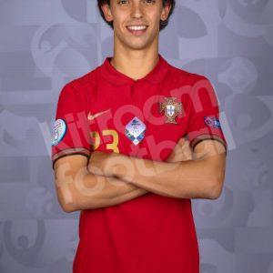EURO 2020 21 Portugal Home Shirt #23 JOAO FELIX BNWT Nike S - Image 5