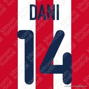 2001-02 Atletico Madrid Home & Third Name Set #14 DANI (Repro)