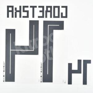 FIFA World Cup 2018 Germany Home Name Number Set #14 GORETZKA Repro - Image 3