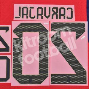 FIFA World Cup Qatar 2022 Spain Name Number Set #20 CARVAJAL Home Repro - Image 3