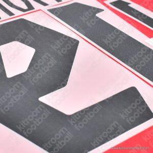 FIFA World Cup 2022 Canada Home Name Number Set #19 DAVIES Repro - Image 4