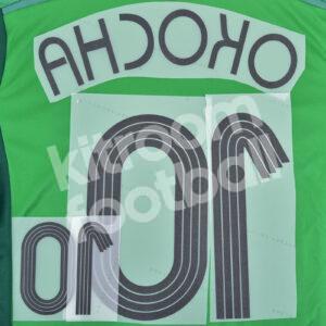 Nigeria FIFA World Cup 2006 Home Name Number Set #10 OKOCHA Repro - Image 4