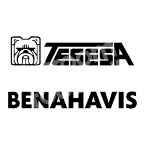 TESESA & BENAHAVIS Malaga CF Sponsor Patch Parche Publicidad Repro