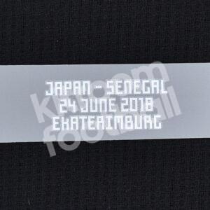 FIFA World Cup 2018 Japan Match Detail MDT Patch vs Senegal Repro