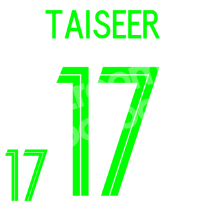 World Cup 2018 Saudi Arabia KSA Home Name Number Set #17 TAISEER Repro