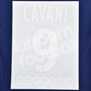 Original Player Issue 2014-18 PSG Paris Name Number Set #9 CAVANI Ligue One