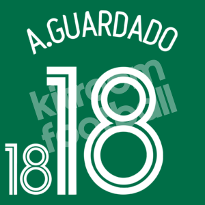 World Cup 2006 Mexico Home Name Number Set #18 Andres GUARDADO Repro