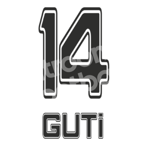 2010-11 Besiktas Home Name Number Set #14 GUTI Repro