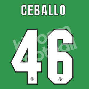 2013-14 Real Betis Home Name Number Set #46 Dani CEBALLOs Repro