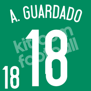 2014 World Cup Mexico Home Name Number Set #14 Andres GUARDADO Repro