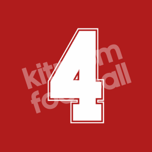 UEFA Euro 1984 Home Name Number Set #4 Maceda Flock