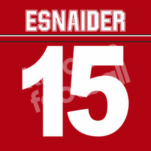 2000-02 Real Zaragoza Away Name Set Number #15 ESNAIDER Repro Dorsal - Image 1