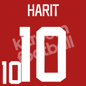FIFA World Cup Qatar 2022  Morocco Home Name Number Set #10 HARIT Repro