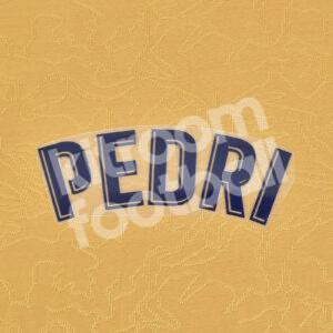 Original Player Issue 2022-23 Barcelona Away Name Block PEDRI La Liga