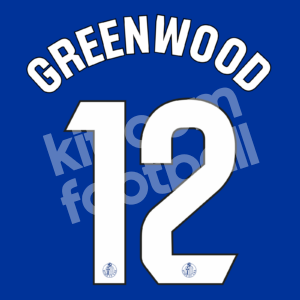 2023-24 Getafe Home Name Number Set #12 GREENWOOD Dorsal Repro - Image 1