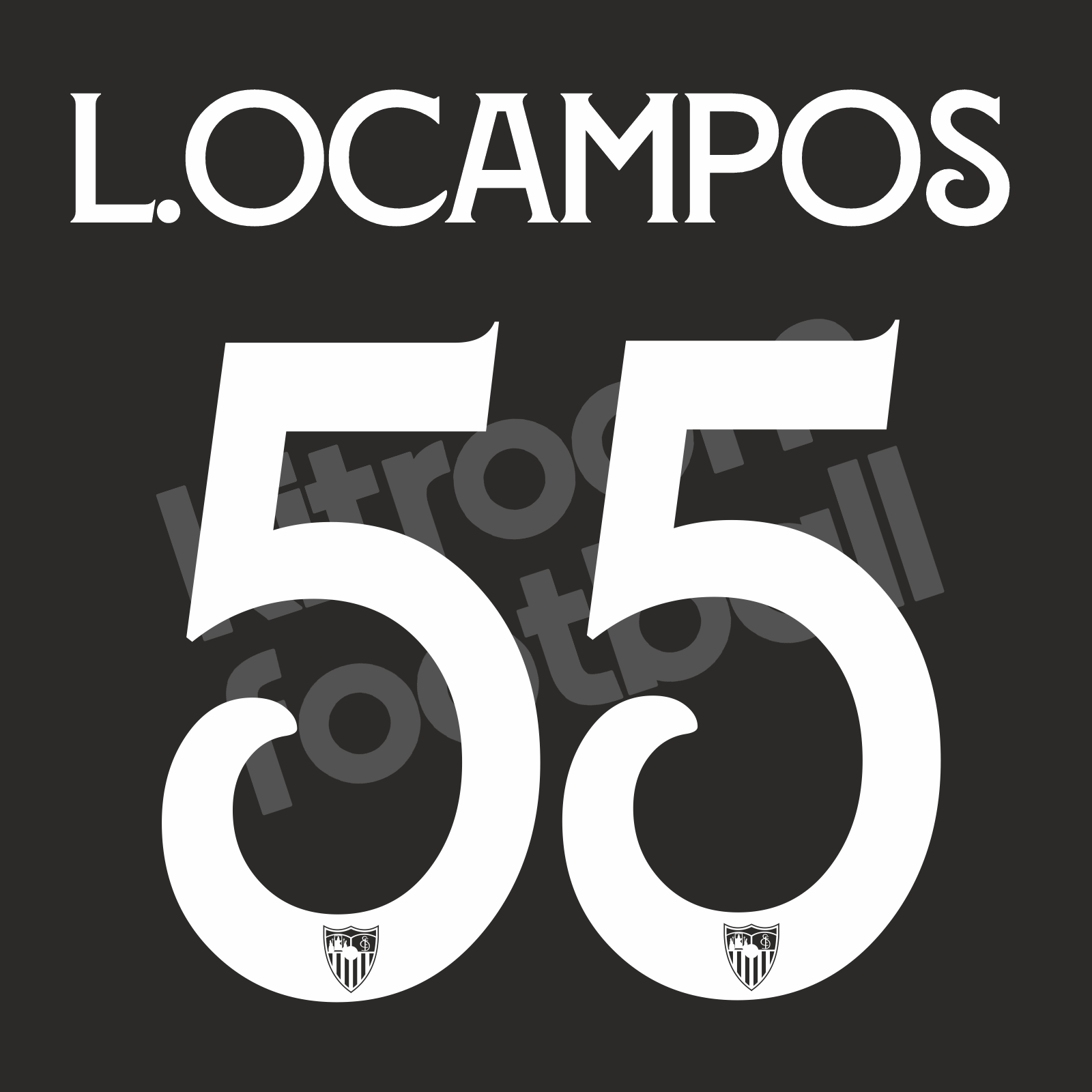 Página 6o.campos