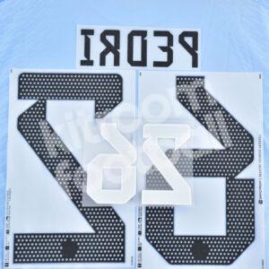 Original Player Issue World Cup Qatar 2022 Spain Name Number Set #26 PEDRI Away - Image 3