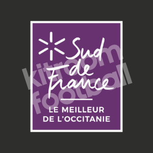 2018-19 Montpellier Sud de France Sponsor Patch Repro