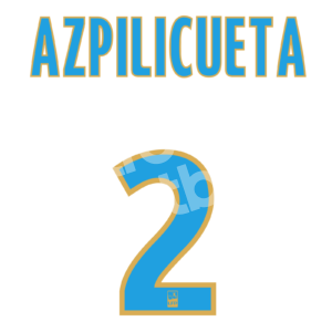 2010-13 Olimpique Marseille Home Name Number Set #2 AZPILICUETA Ligue One Repro