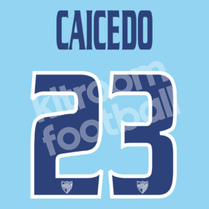 2009-10 Malaga CF Home Name Number Set #23 CAICEDO Repro