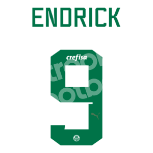 2023-24 Palmeiras Brazil Away Name Number Set #9 ENDRICK Green Repro