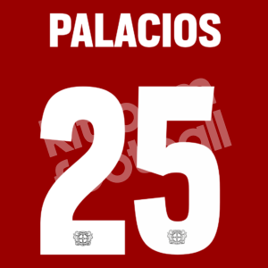 2021-23 Bayer 04 Leverkusen Home Name Number Set #25 PALACIOS Repro