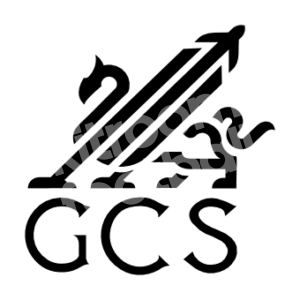 2023-24 Rayo Vallecano GCS Sponsor Patch Black Repro