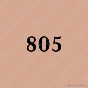 2023-24 Tottenham Hotspur Third Black Legacy Number #805 SON Repro