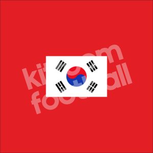 South Korea Badge Flag Patch Repro v1