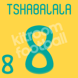 FIFA World Cup 2010 South Africa Home Green Name Number Set #8 TSHABALALA Repro