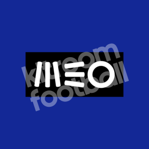 2013-14 Porto MEO Sponsor Patch Black & White Repro