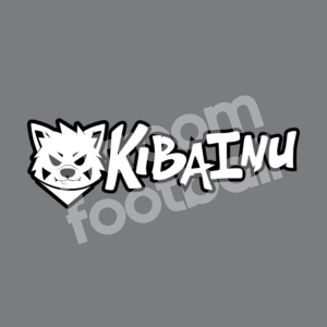 2021-22 Udinese KIBAINU Sposnsor Patch Repro