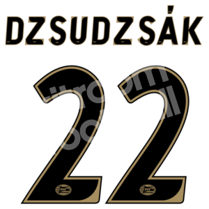2010-11 PSV Eindhoven Home Name Number Set #22 DZSUDZSAK Repro - Image 1
