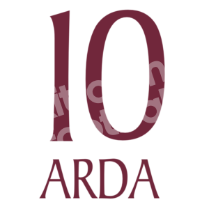 2010-11 Galatasaray Away Name Number Set #10 ARDA Turan Repro
