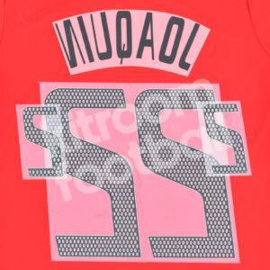 World Cup 2002 Spain Home Name Number Set #22 JOAQUIN Repro - Image 3