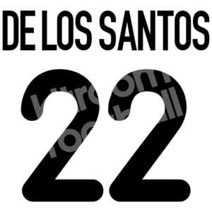 2001-02 Valencia CF Home Name Number Set #22 DE LOS SANTOS Repro