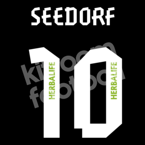 2012-13 Botafogo Home Name Number Set #10 SEEDORF Repro