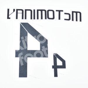 UEFA Euro 2024 Scotaland Away Name Number Set #4 McTOMINAY Repro - Image 3