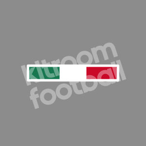 2005 Mexico Flag Patch Repro