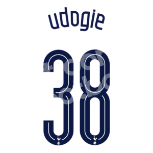 2023-24 Tottenham Hotspur Home Name Number Set #38 UDOGIE Cup Repro - Image 1