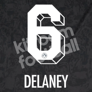 2020-21 Borussia Dortmund Special Name Number Set #6 DELANEY REpro