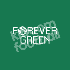 2024-25 Real Betis FOREVER GREEN Sponsor White Black (Collar Size) Repro