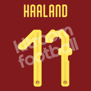 2019-20 Borussia Dortmund Third Name Number Set #17 HAALAND Repro